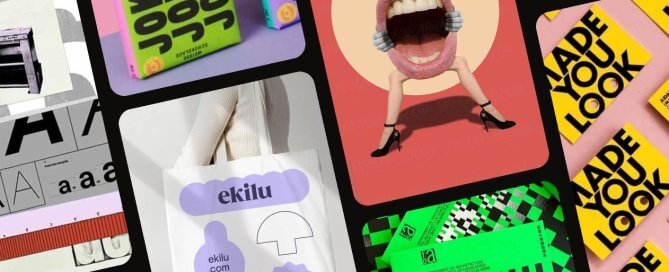 2024 Design Trends