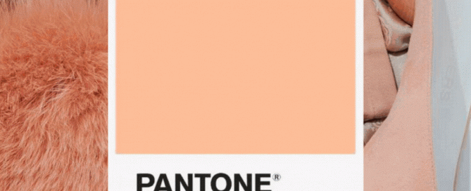 Pantone Colour of the year 2024-animation