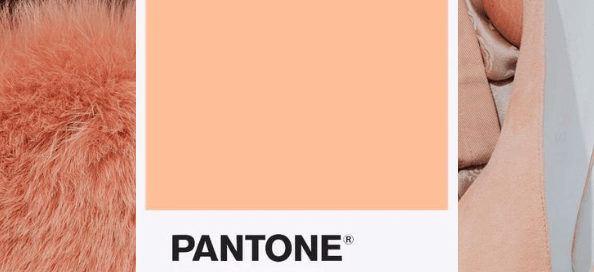 Pantone colour of the year - Peach Fuzz - Featured Image
