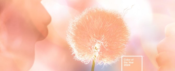 Pantone 2024 colour of the year