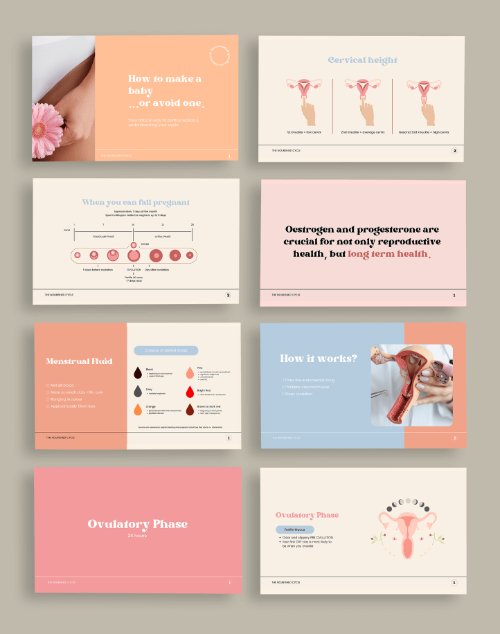 TNC-Presentation-Mockup-Slides