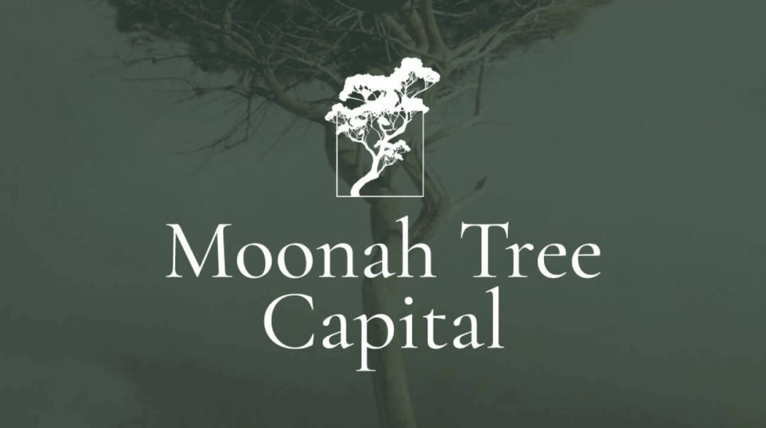 Moonah Tree Capital logo with a tree illustration on a dark green background.